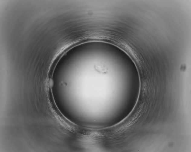 X0000096150787200801251103