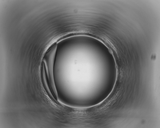 X0000096150789200801251103