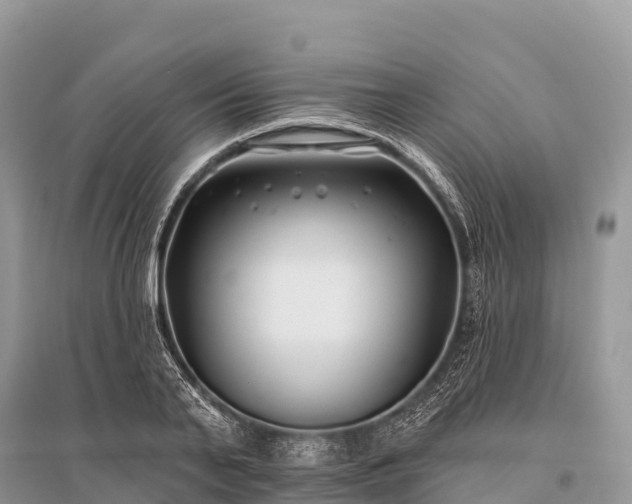 X0000096150791200801251103
