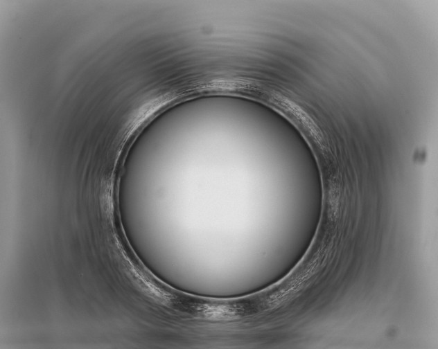 X0000096150794200801251103