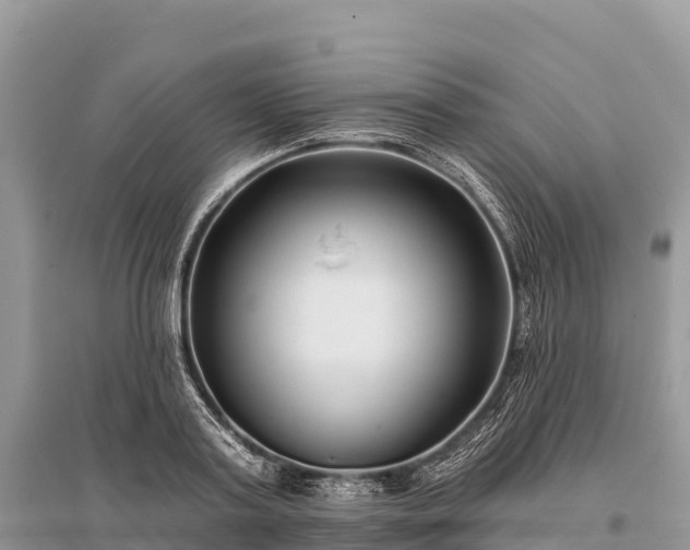 X0000096150795200801251103