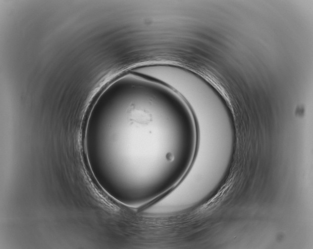 X0000096150797200801251103