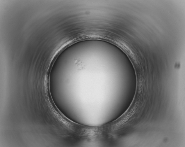 X0000096150798200801251103