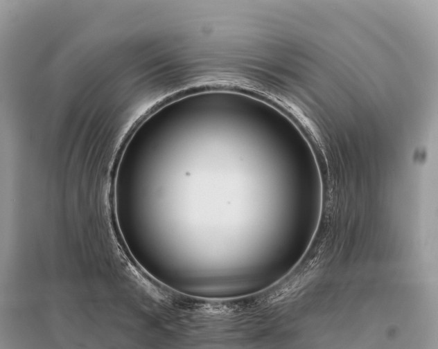 X0000096150799200801251103