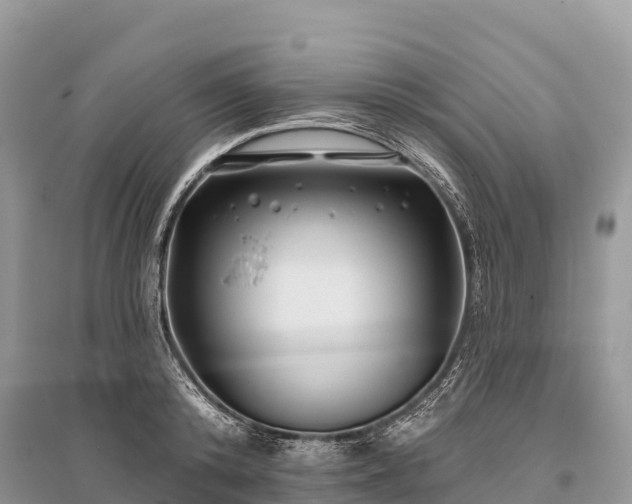 X0000096150800200801251103