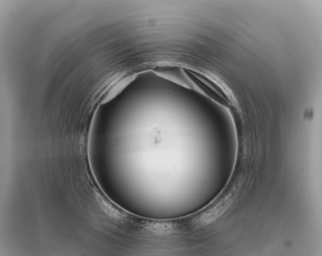 X0000096150801200801251103