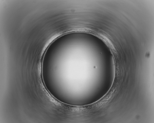 X0000096150804200801251103