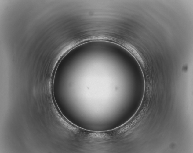 X0000096150805200801251103