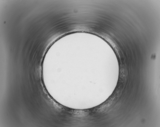 X0000096150807200801251103