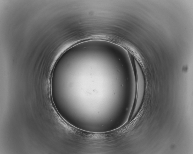 X0000096150808200801251103