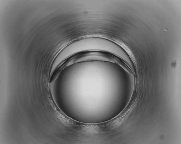 X0000096150809200801251103