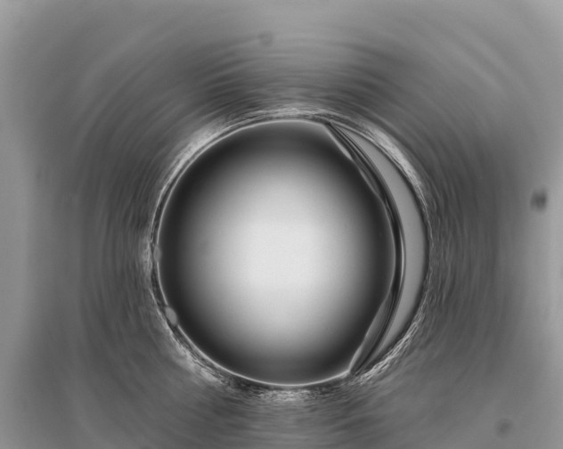 X0000096150810200801251103
