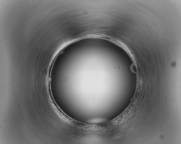 X0000096150811200801251103