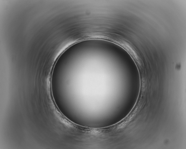 X0000096150814200801251103