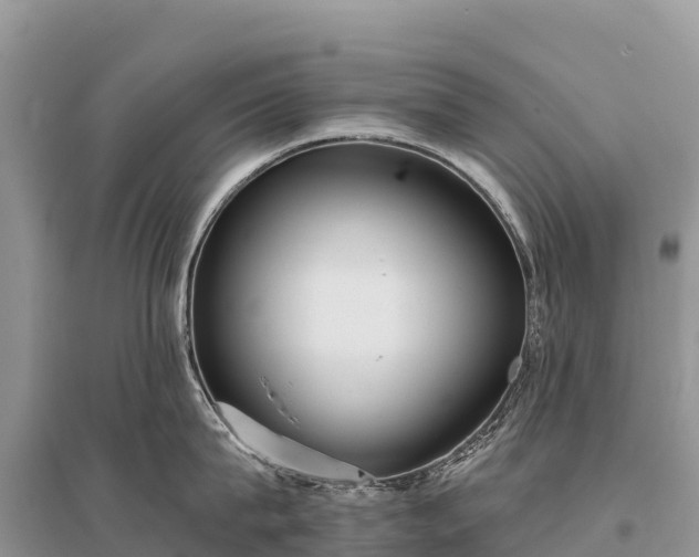 X0000096150815200801251103