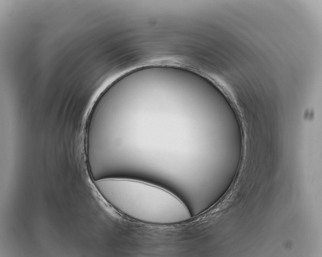 X0000096150816200801251103
