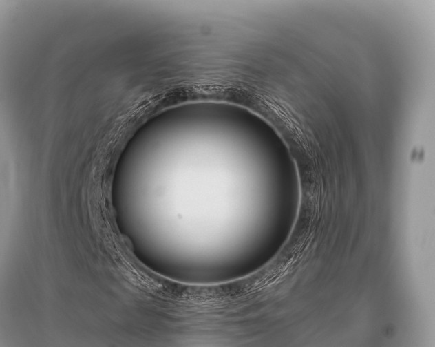 X0000096150817200801251102