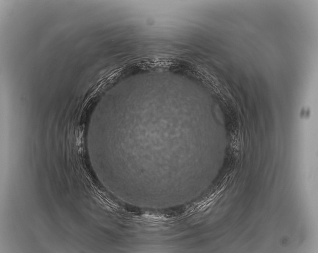 X0000096150818200801251102