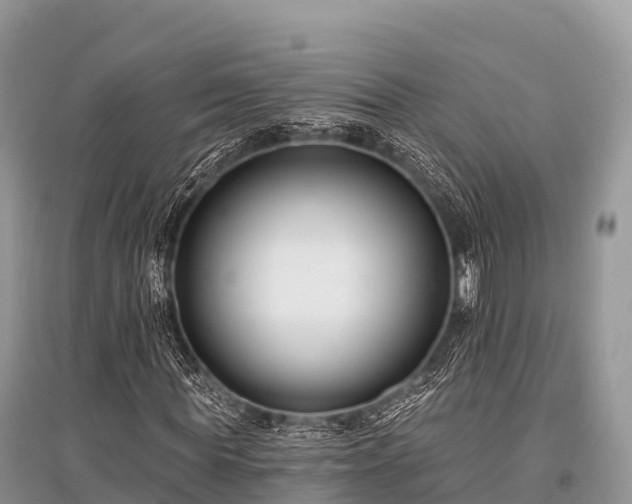 X0000096150819200801251102