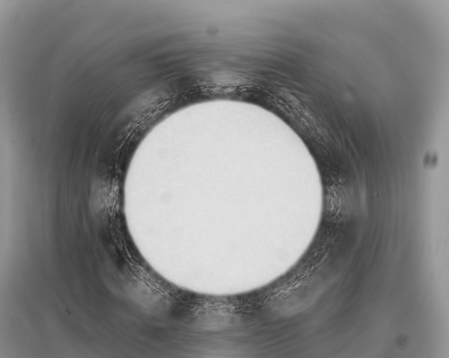 X0000096150820200801251102