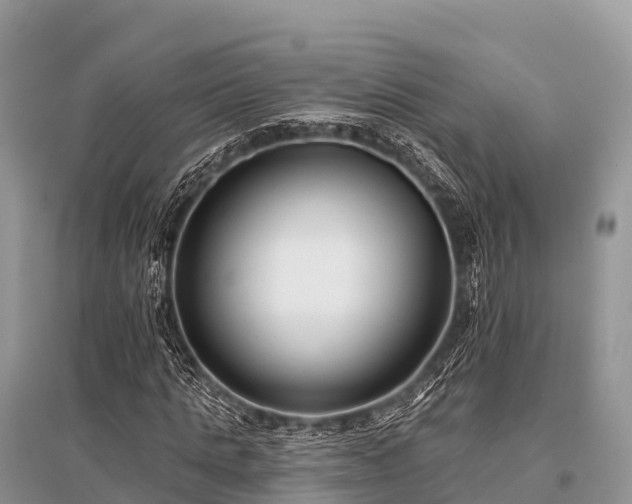 X0000096150821200801251102