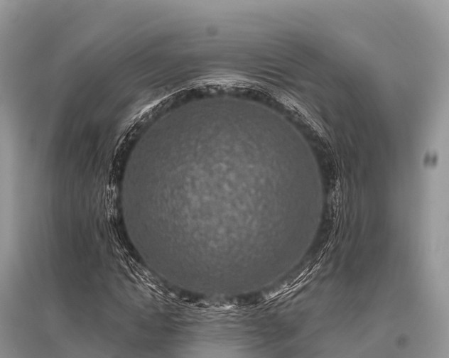 X0000096150822200801251102
