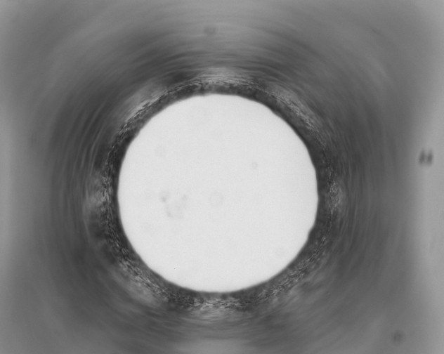 X0000096150824200801251102