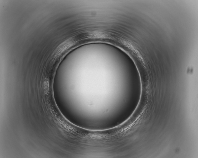 X0000096150825200801251102