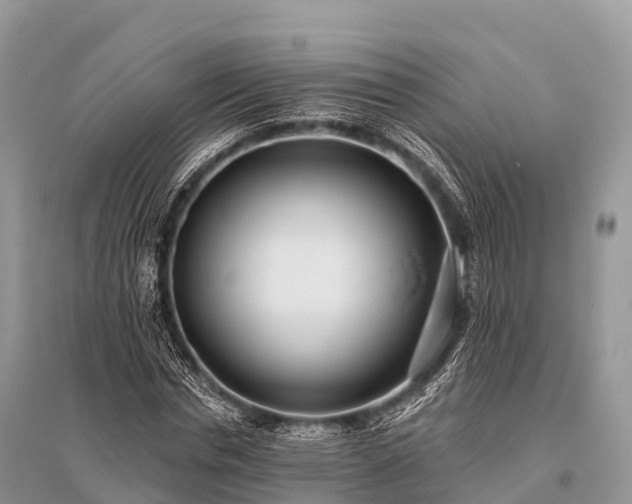 X0000096150826200801251102