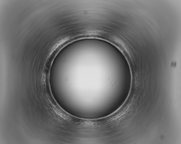 X0000096150827200801251102