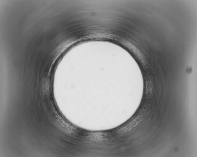 X0000096150828200801251102