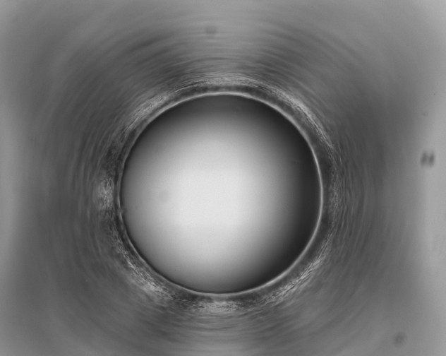 X0000096150833200801251102