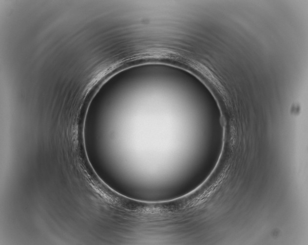 X0000096150834200801251102