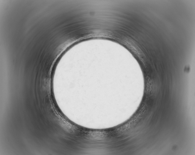 X0000096150836200801251102