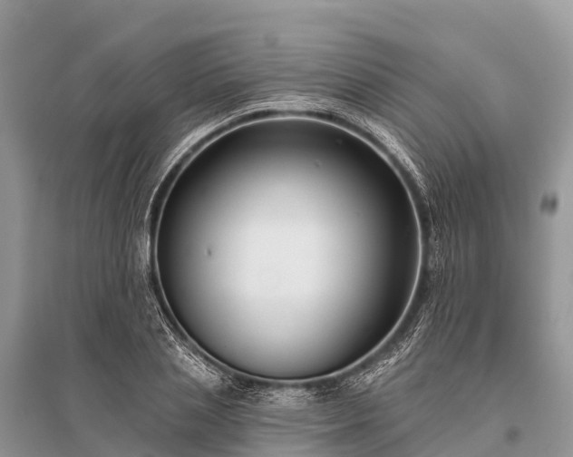X0000096150837200801251102