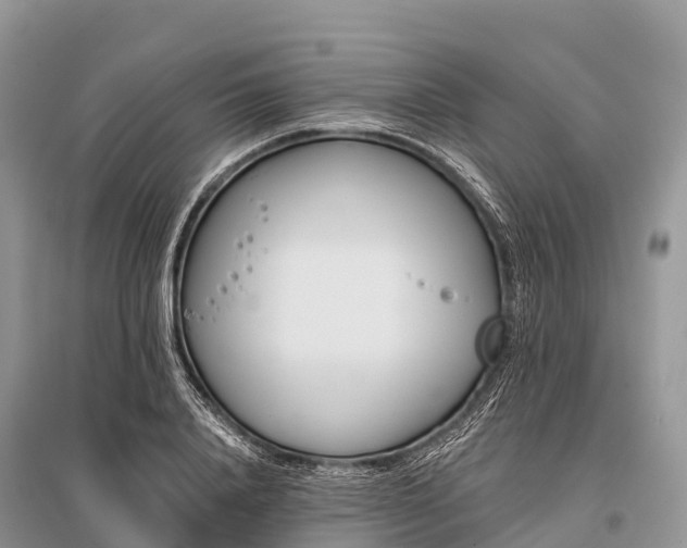 X0000096150840200801251102