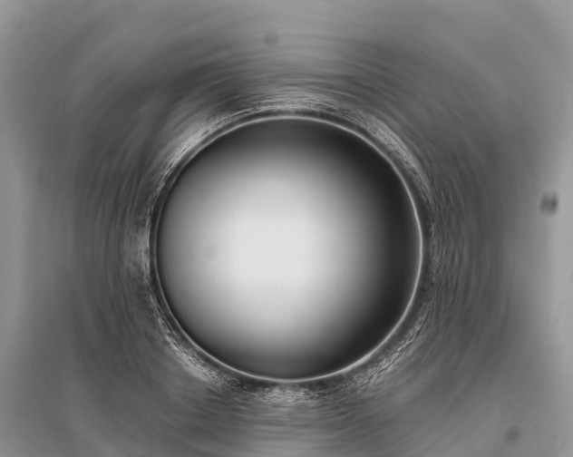 X0000096150842200801251102