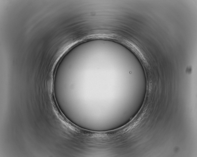 X0000096150844200801251102