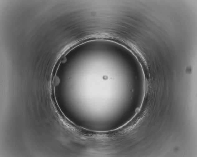 X0000096150845200801251102