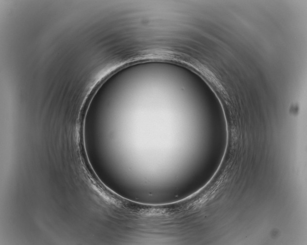 X0000096150846200801251102