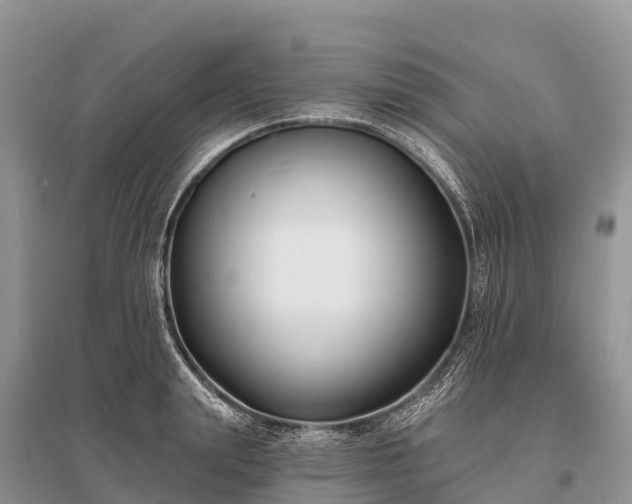 X0000096150847200801251102