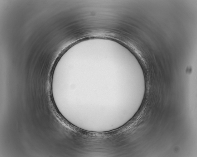 X0000096150848200801251102