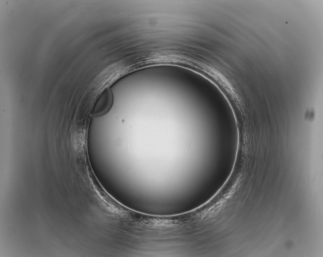 X0000096150849200801251103