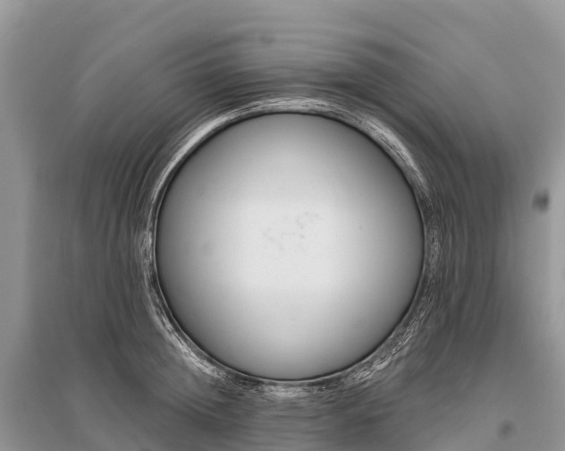 X0000096150852200801251103