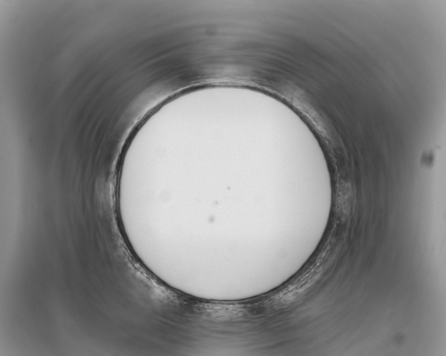 X0000096150856200801251103