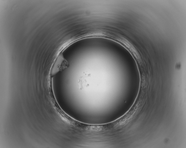 X0000096150858200801251103
