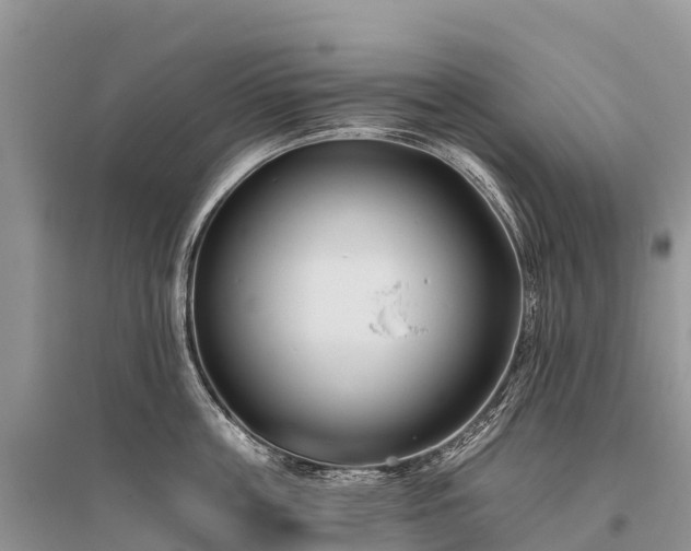 X0000096150859200801251103