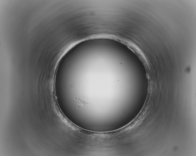 X0000096150860200801251103