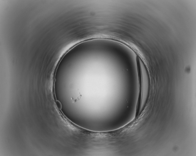 X0000096150862200801251103