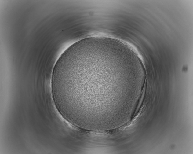 X0000096150863200801251103